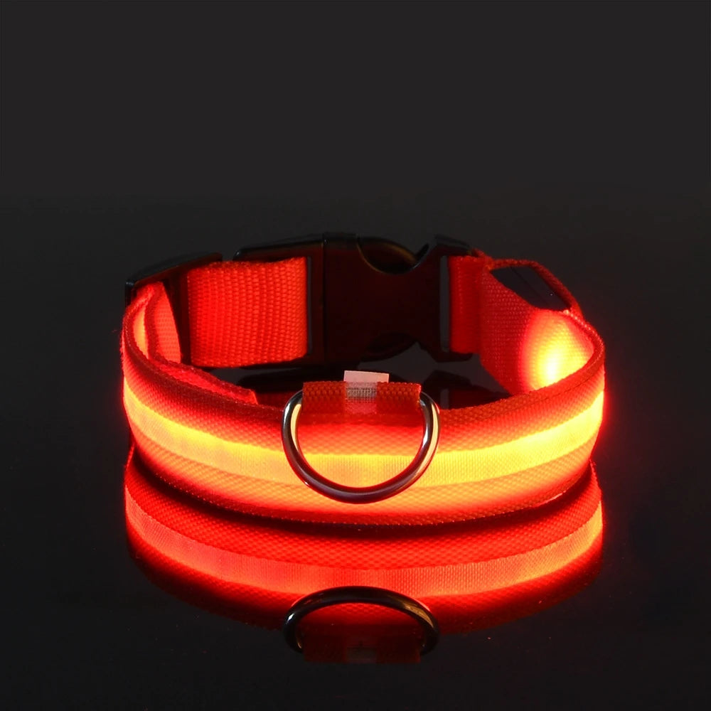 Nylon LED Flashing Dog Leash, Night Safety Glow in the Dark Pet Dog Collar Structural Ent Shoous