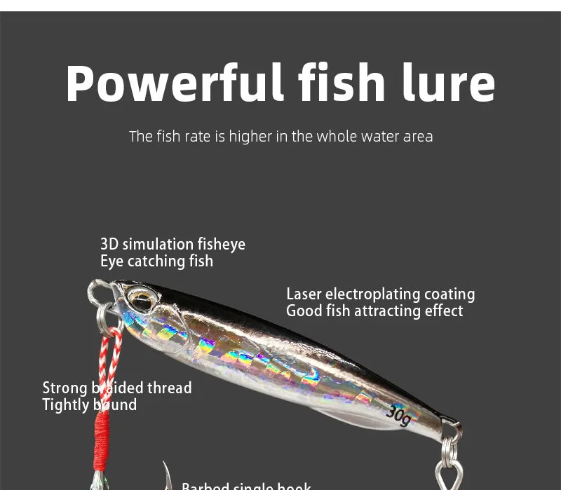 Leurre de Pêche Artificiel Japonais 10 à 50g — Appat Casting Bar & Poissons de Mer