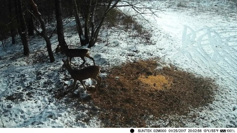 Caméra de chasse 4K 30fps avec contrôle par application, service cloud, 4G, 30MP, diffusion en direct, vision nocturne, piège photo pour la chasse sauvage HC910PRO