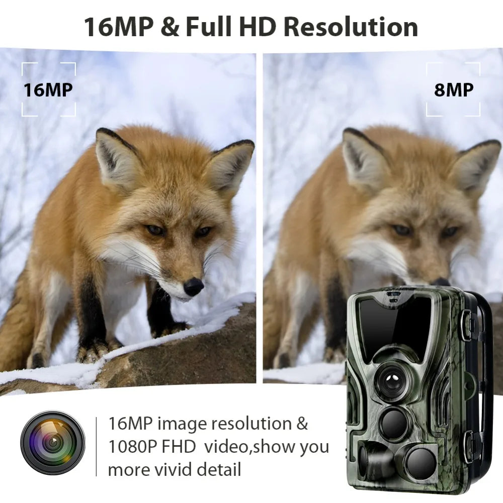 Caméra de chasse 16MP, vidéo 1080P, étanche, déclenchement 0,3s, HC801ALI avec batterie au lithium 5000mAh, piège photo de surveillance sauvage