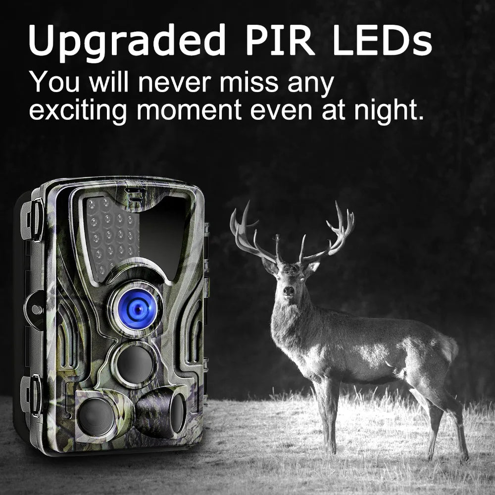 Caméra de chasse HC801A 20MP 1080P, surveillance de la faune, étanche IP65, capteur PIR, caméra de suivi pour la sécurité extérieure