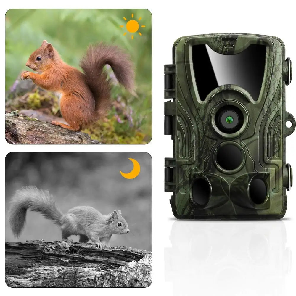 Caméra de chasse HC801A 20MP 1080P, surveillance de la faune, étanche IP65, capteur PIR, caméra de suivi pour la sécurité extérieure