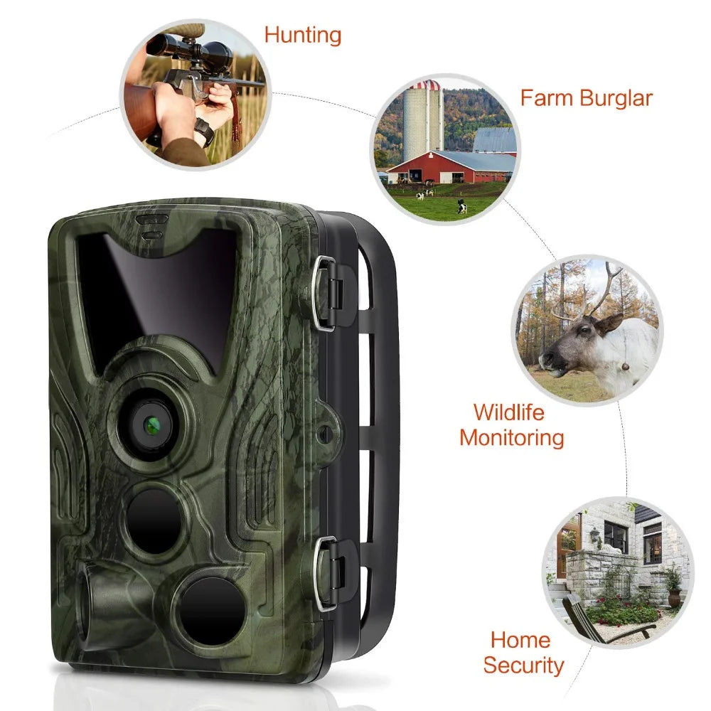 Caméra de chasse HC801A 20MP 1080P, surveillance de la faune, étanche IP65, capteur PIR, caméra de suivi pour la sécurité extérieure