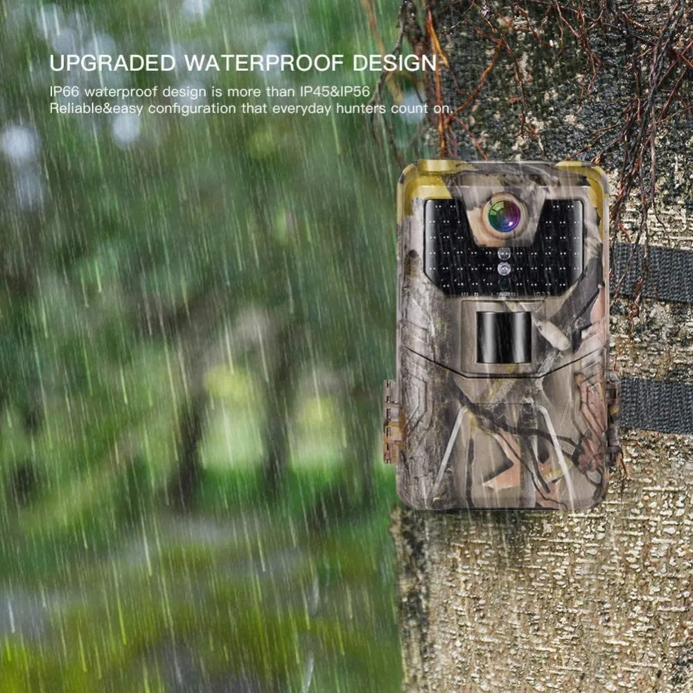 Caméra de suivi des sentiers en direct WIFI 4K 30MP APP contrôle Bluetooth caméras de chasse Vision nocturne WIFI900PRO Surveillance de la faune