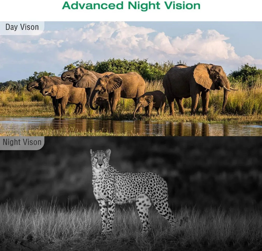 Caméra de chasse 4K 30fps avec contrôle par application, service cloud, 4G, 30MP, diffusion en direct, vision nocturne, piège photo pour la chasse sauvage HC910PRO