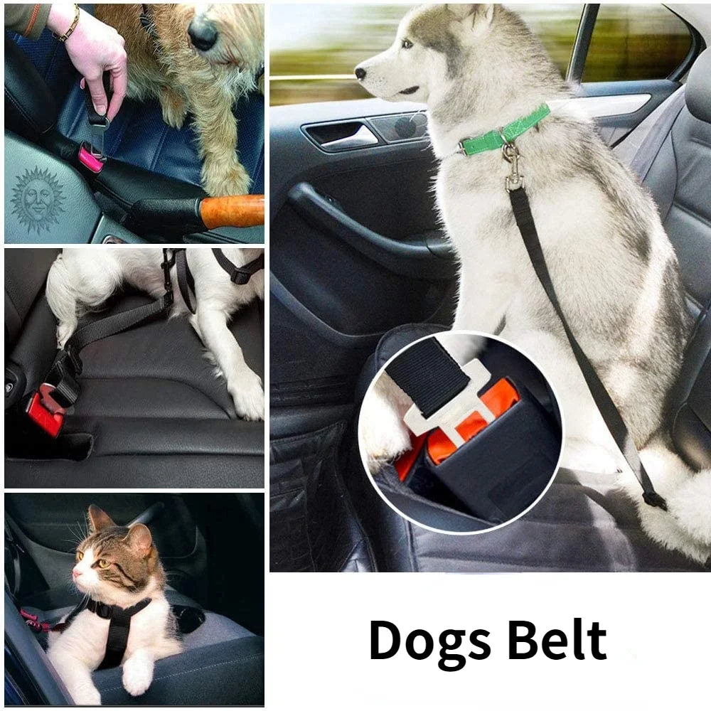 Ceinture de sécurité réglable pour animaux de compagnie, chat, chien, siège pour animaux de compagnie, véhicule, harnais pour chien, Clip en plomb, levier de sécurité, Traction, colliers pour chiens, Accessoires pour c