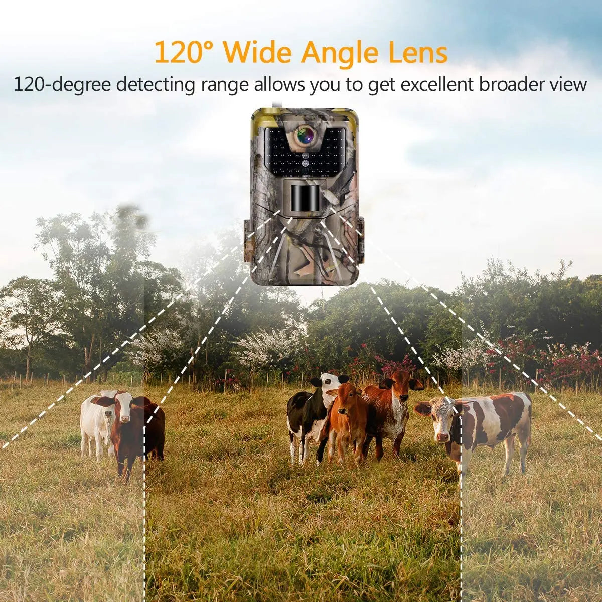 Caméra de surveillance de la faune Suntekcam HC900A 36MP 2.7K IP65 étanche pour la chasse et le scoutisme