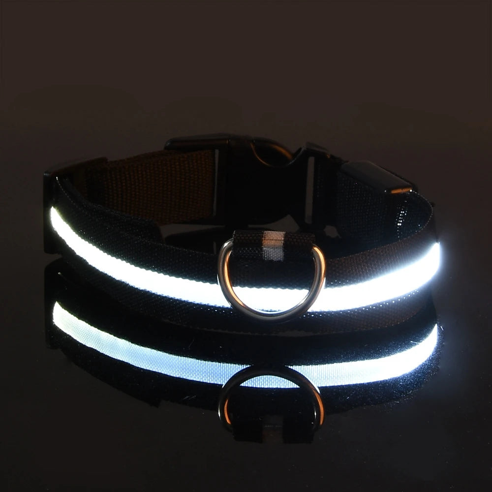 Nylon LED Flashing Dog Leash, Night Safety Glow in the Dark Pet Dog Collar Structural Ent Shoous