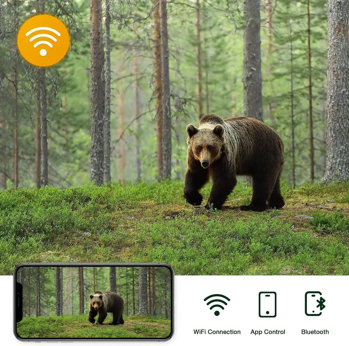 Caméra de suivi des sentiers en direct WIFI 4K 30MP APP contrôle Bluetooth caméras de chasse Vision nocturne WIFI900PRO Surveillance de la faune