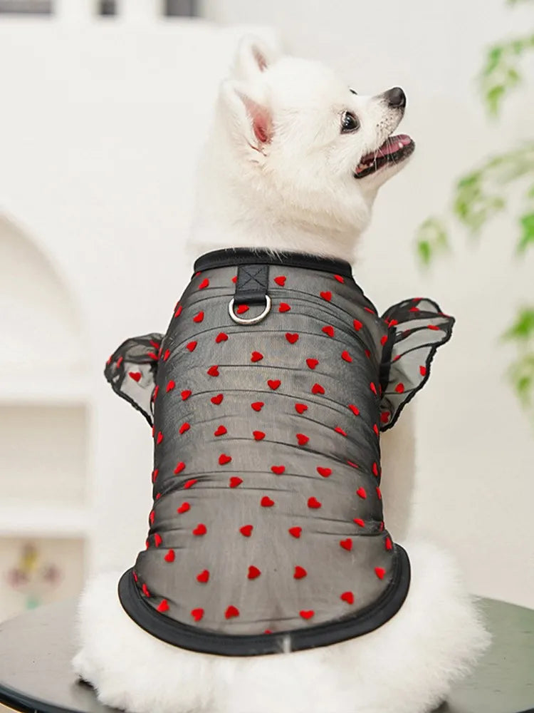 Gilet rafraîchissant fin pour chien, manches volantes en forme de cœur, vêtements d'été pour chien avec anneau en D, Chihuahua Bichon, chemise pour fille, chat, t-shirt en maille pour chien