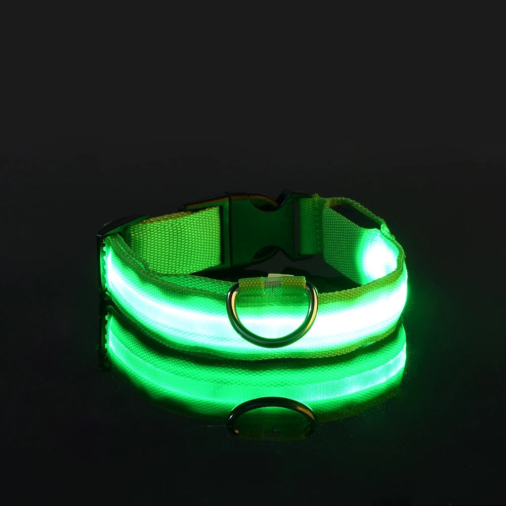 Nylon LED Flashing Dog Leash, Night Safety Glow in the Dark Pet Dog Collar Structural Ent Shoous