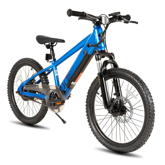 Vélo Électrique Enfants & Adolescents — Moteur 250W 15 mph 15 Miles VTT Sécurisé