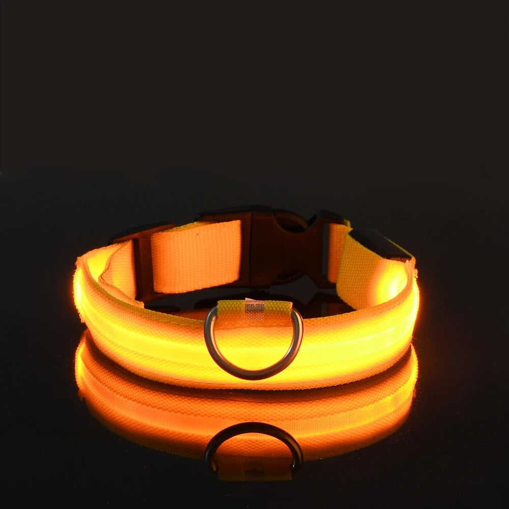 Nylon LED Flashing Dog Leash, Night Safety Glow in the Dark Pet Dog Collar Structural Ent Shoous