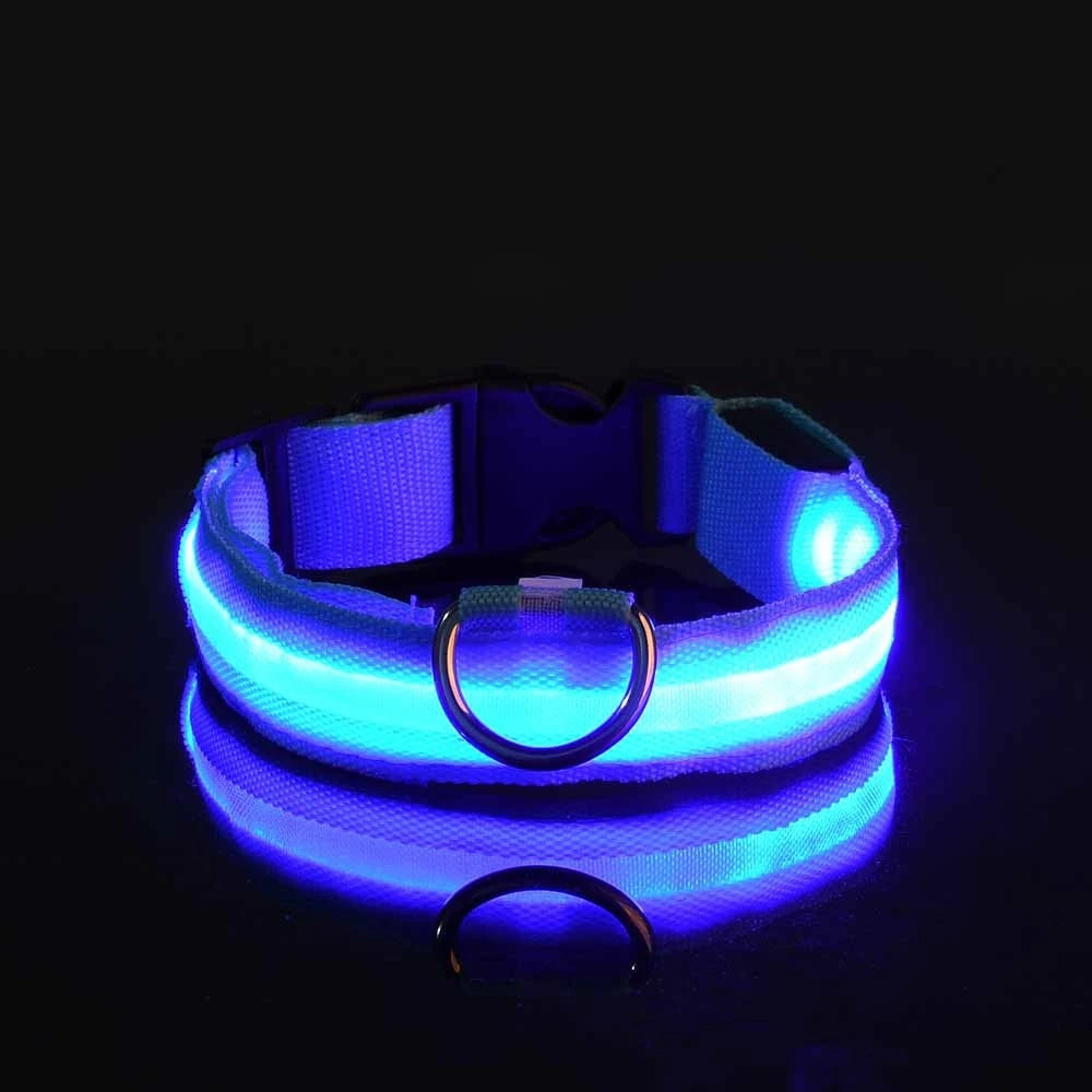 Nylon LED Flashing Dog Leash, Night Safety Glow in the Dark Pet Dog Collar Structural Ent Shoous