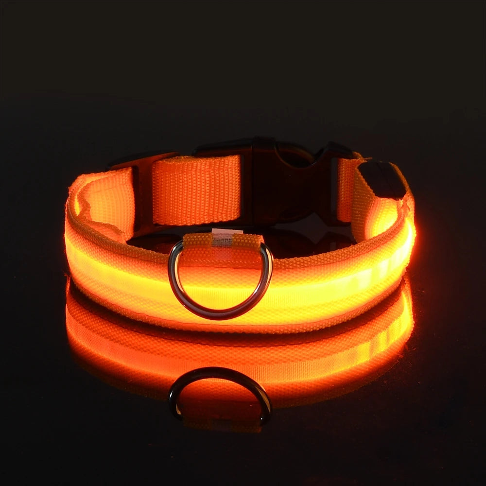 Nylon LED Flashing Dog Leash, Night Safety Glow in the Dark Pet Dog Collar Structural Ent Shoous