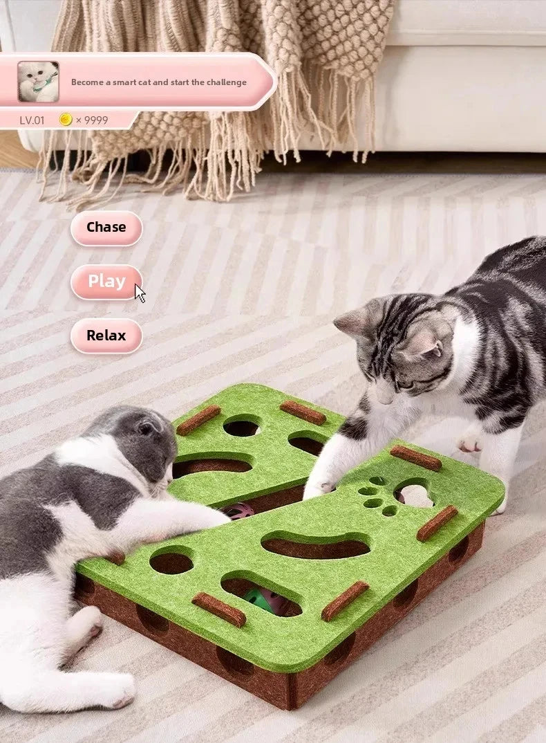 Jouet de Puzzle en feutre pour chat, boîte de Puzzle, jouet d'exercice avec balle, sport d'intérieur, divertissement, chasse, jouets pour chats d'intérieur