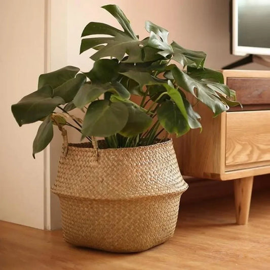 Pot de fleurs en rotin — rangement de vêtements sales, panier osier