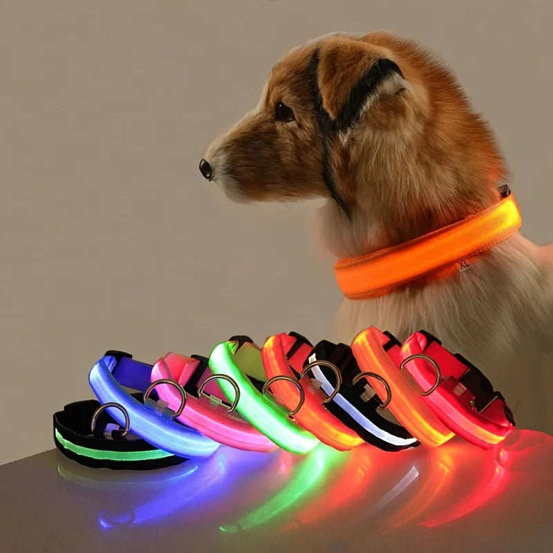 Nylon LED Flashing Dog Leash, Night Safety Glow in the Dark Pet Dog Collar Structural Ent Shoous