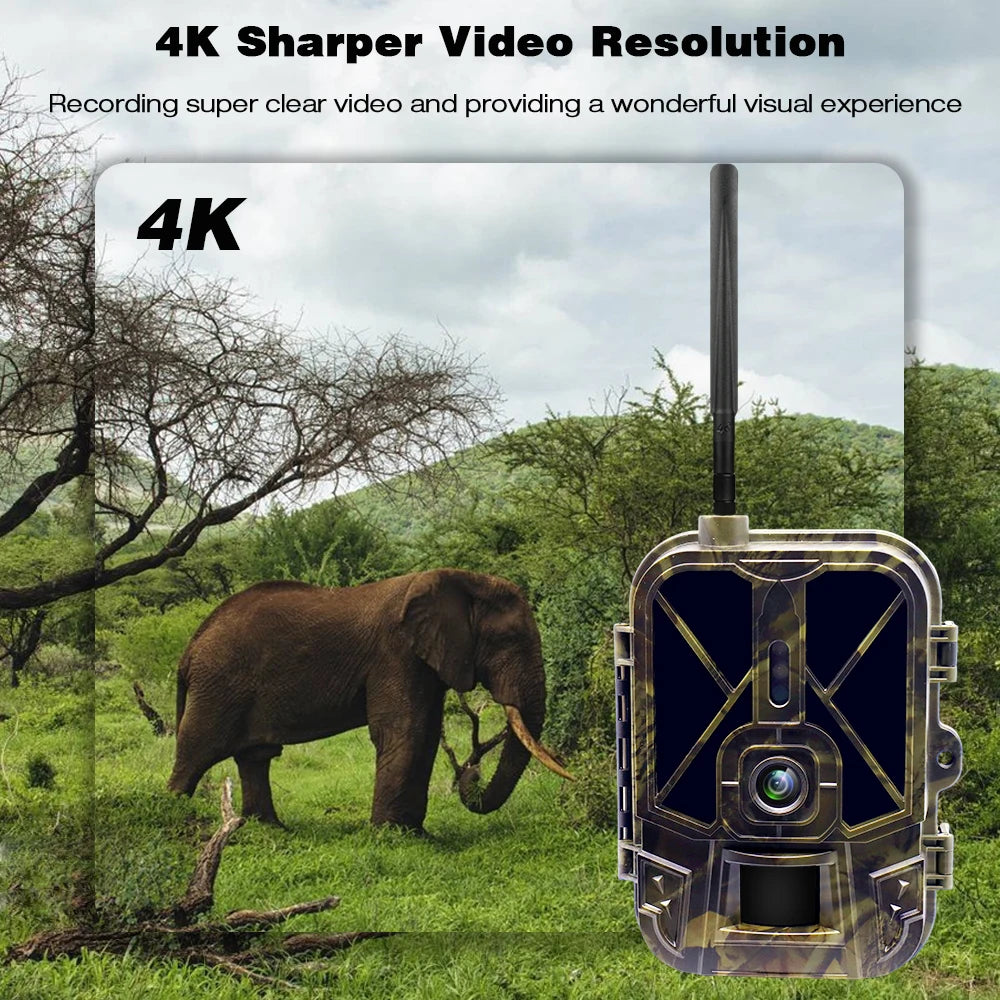 4K flux en direct médias APP Service sans batterie au lithium caméra de chasse 4G 30MP Vision nocturne Photo HC940PRO caméra