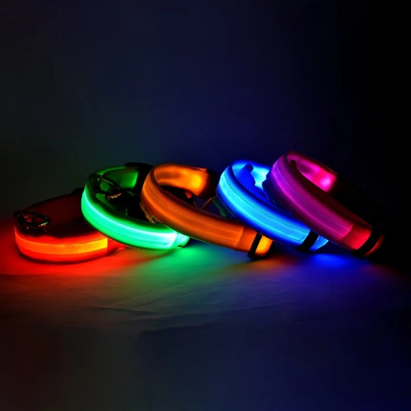 Nylon LED Flashing Dog Leash, Night Safety Glow in the Dark Pet Dog Collar Structural Ent Shoous