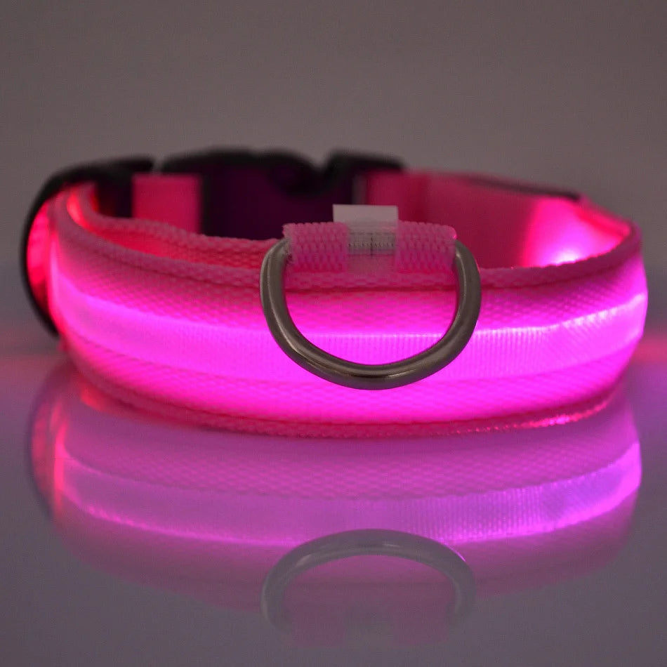 Nylon LED Flashing Dog Leash, Night Safety Glow in the Dark Pet Dog Collar Structural Ent Shoous