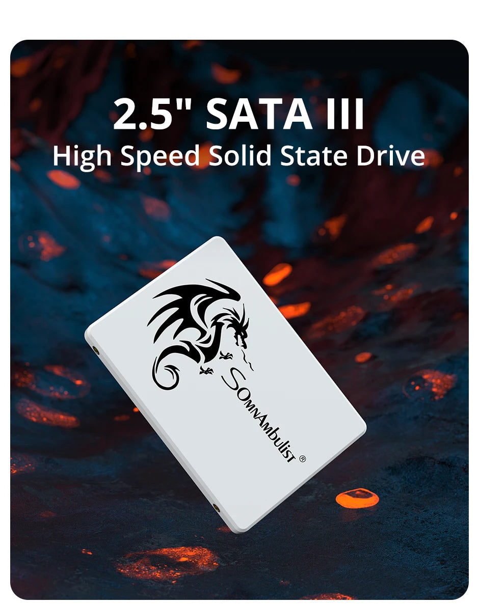 SomnAmbulist SSD 2.5 64GB 128GB 256GB 512GB pour ordinateur portable de bureau disque SSD Sata3 120GB 240GB 480GB