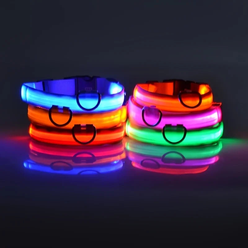 Nylon LED Flashing Dog Leash, Night Safety Glow in the Dark Pet Dog Collar Structural Ent Shoous