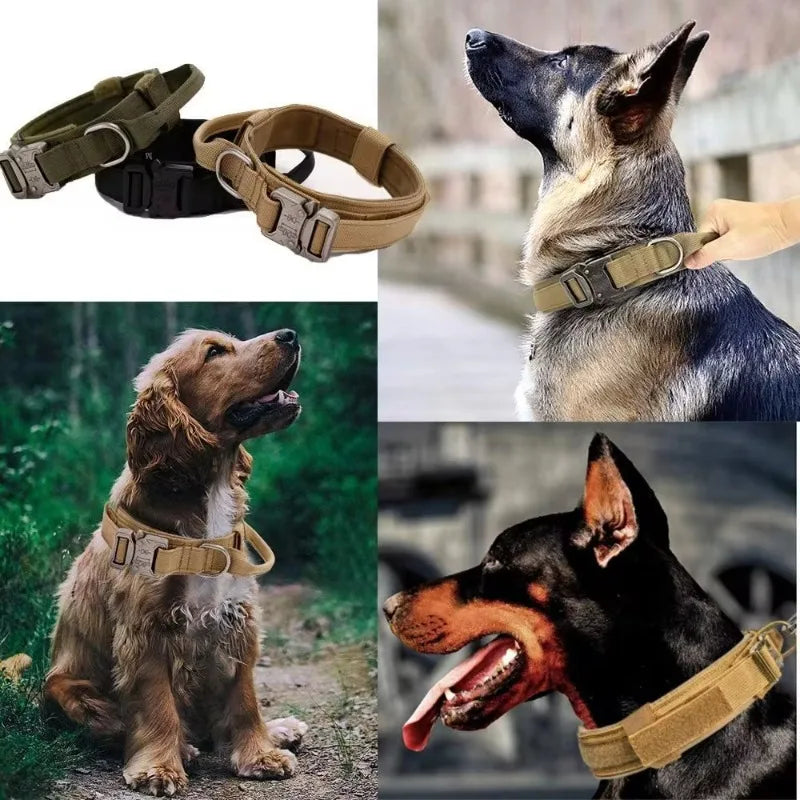 Collier Tactique Nylon pour Chien — Poignée Réglable, Robuste, Taille Moyenne & Grande