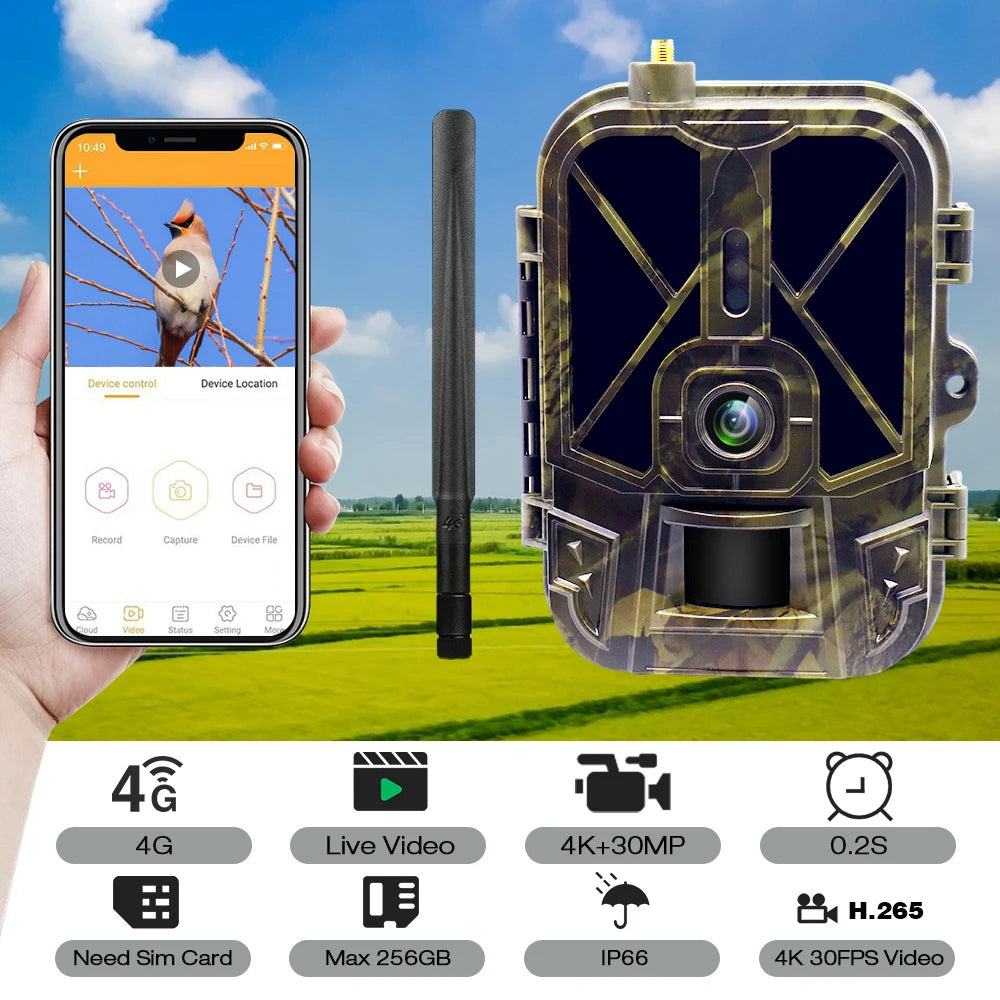 Caméra de surveillance 4K en direct 4G 30MP avec service cloud APP, caméras de chasse, batterie Li-ion 8000 mAh, vision nocturne, pièges photo HC940PROLI