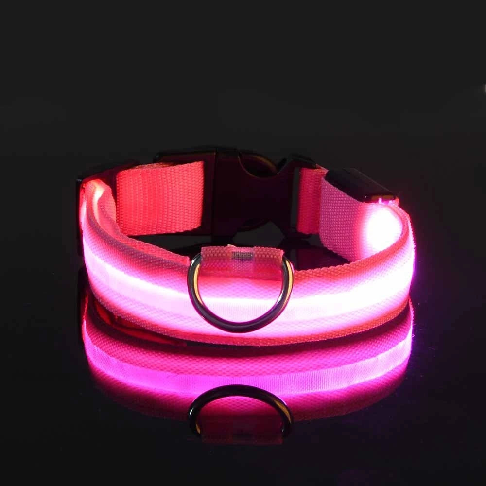 Nylon LED Flashing Dog Leash, Night Safety Glow in the Dark Pet Dog Collar Structural Ent Shoous