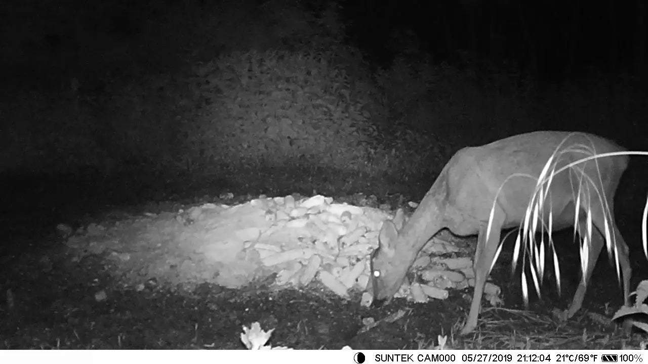 Caméra de surveillance 4K en direct 4G 30MP avec service cloud APP, caméras de chasse, batterie Li-ion 8000 mAh, vision nocturne, pièges photo HC940PROLI