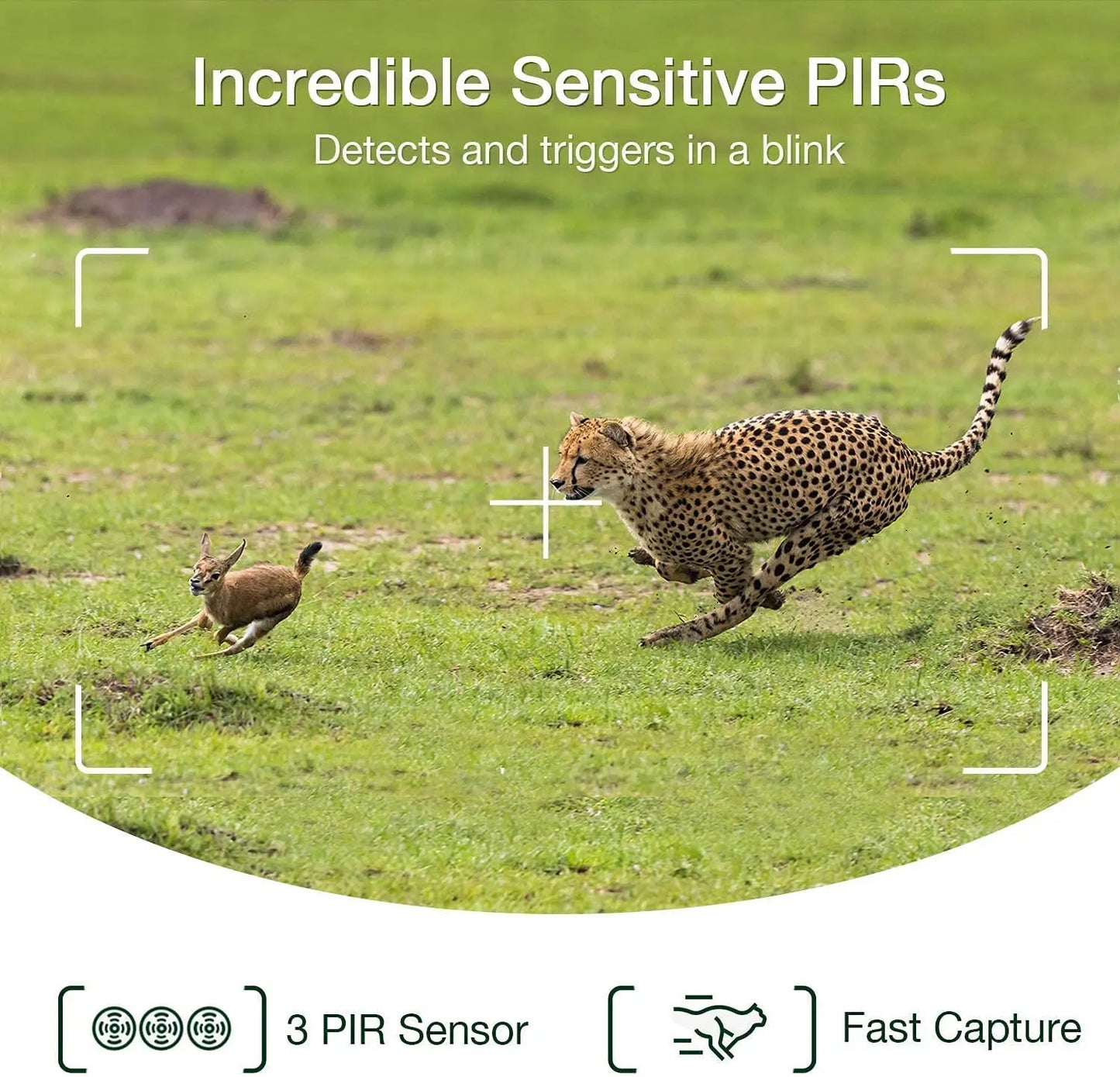 Caméra de suivi des sentiers en direct WIFI 4K 30MP APP contrôle Bluetooth caméras de chasse Vision nocturne WIFI900PRO Surveillance de la faune