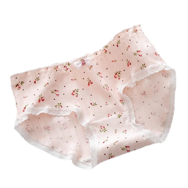Culottes Coton Doux Nœud Dentelle Femme — Lot de 5 Pièces