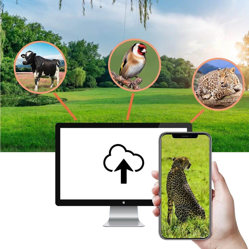 4K flux en direct médias APP Service sans batterie au lithium caméra de chasse 4G 30MP Vision nocturne Photo HC940PRO caméra