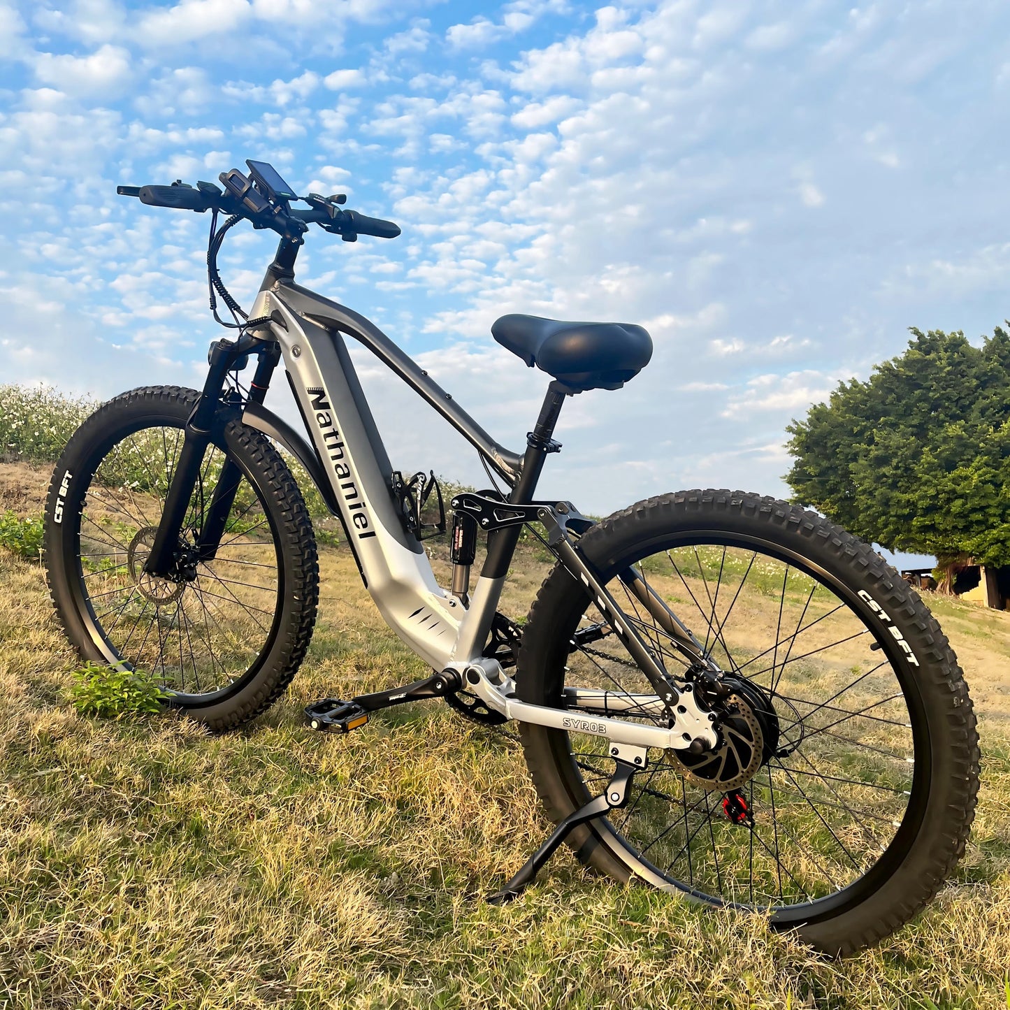 Nathaniel E-Bike, 1000W Brushless Motor, 27.5 Inch Adult Electric Mountain Bike, 45Ah Large Capacity Batteries, 7 Speed, 45KM/H, Outdoor Travel Bike