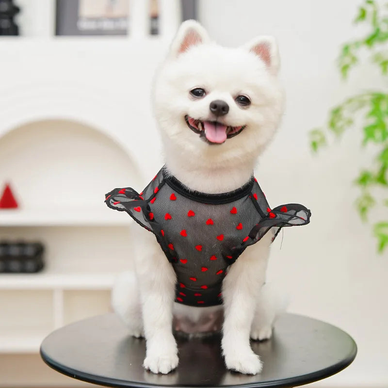 Gilet rafraîchissant fin pour chien, manches volantes en forme de cœur, vêtements d'été pour chien avec anneau en D, Chihuahua Bichon, chemise pour fille, chat, t-shirt en maille pour chien