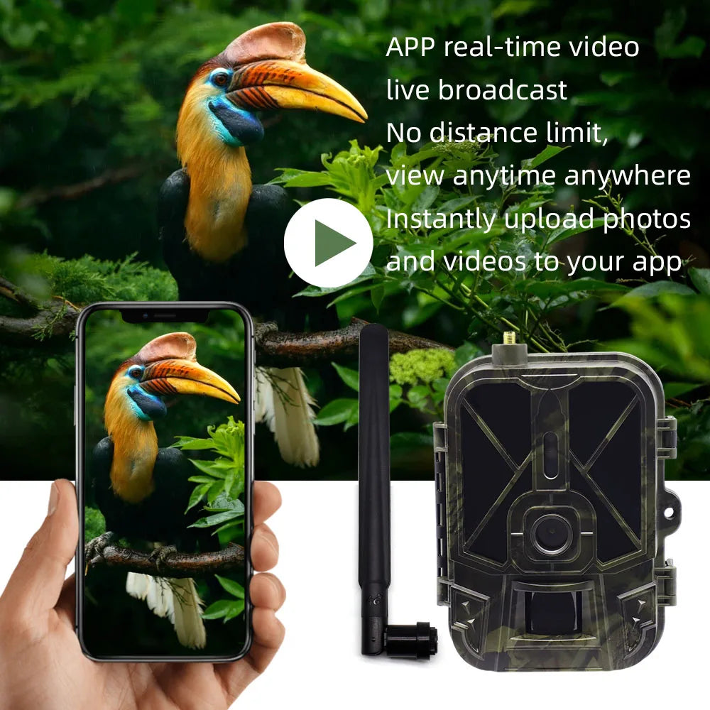 4K flux en direct médias APP Service sans batterie au lithium caméra de chasse 4G 30MP Vision nocturne Photo HC940PRO caméra